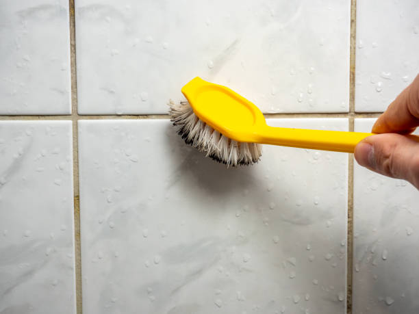 Best Mold Removal Near Me  in Woodstock, GA