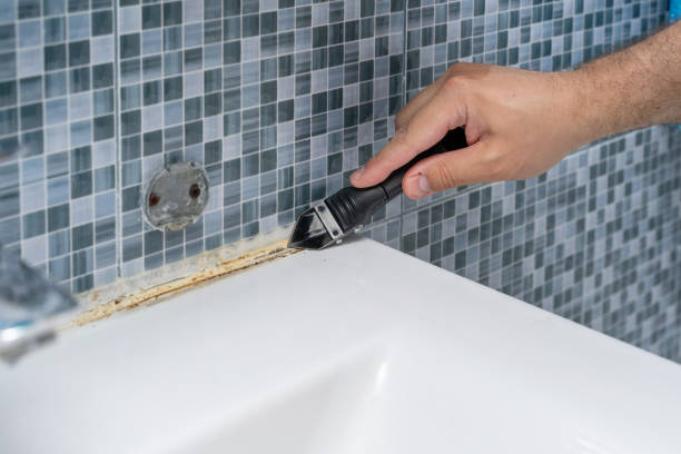Best Black Mold Removal  in Woodstock, GA