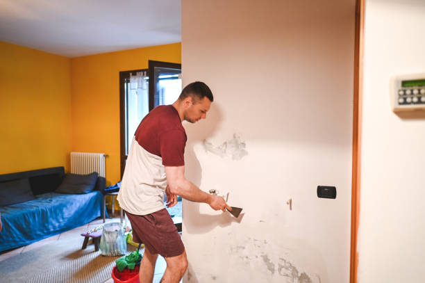 Best Mold Cleaning Services  in Woodstock, GA